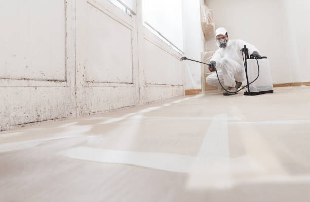 24/7 Emergency Mold Removal experts in Rockville, MN